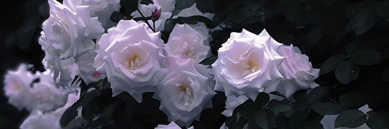 *ೃ༄ LAINEY banner