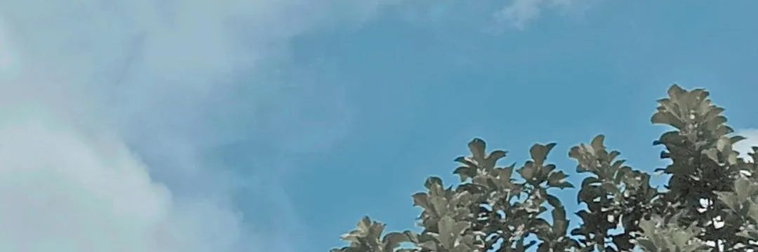 __cris__py's profile banner image