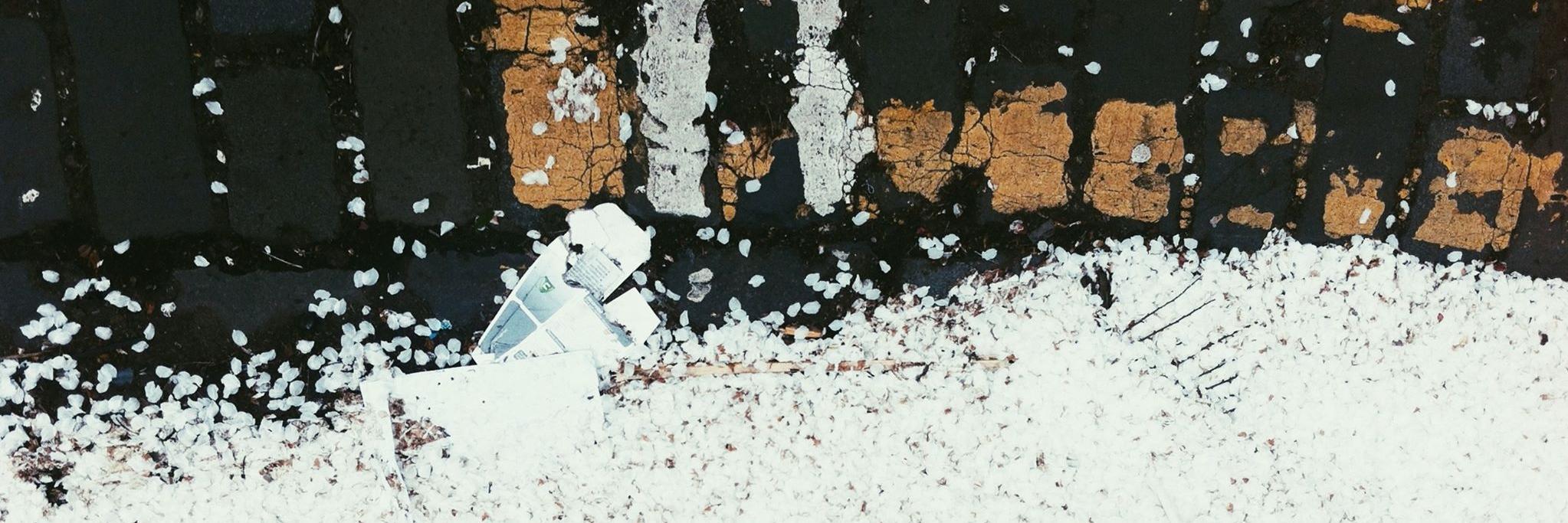 ShambolicCalum's profile banner image