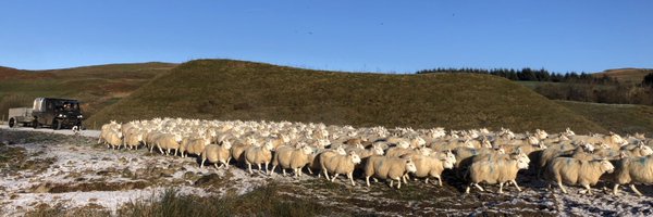 helengeorgina94 Profile Banner