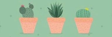 asil__la's profile banner image