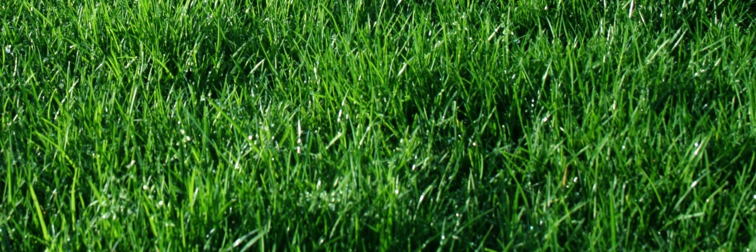 askkolikmisin's profile banner image