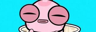 Zintoki banner