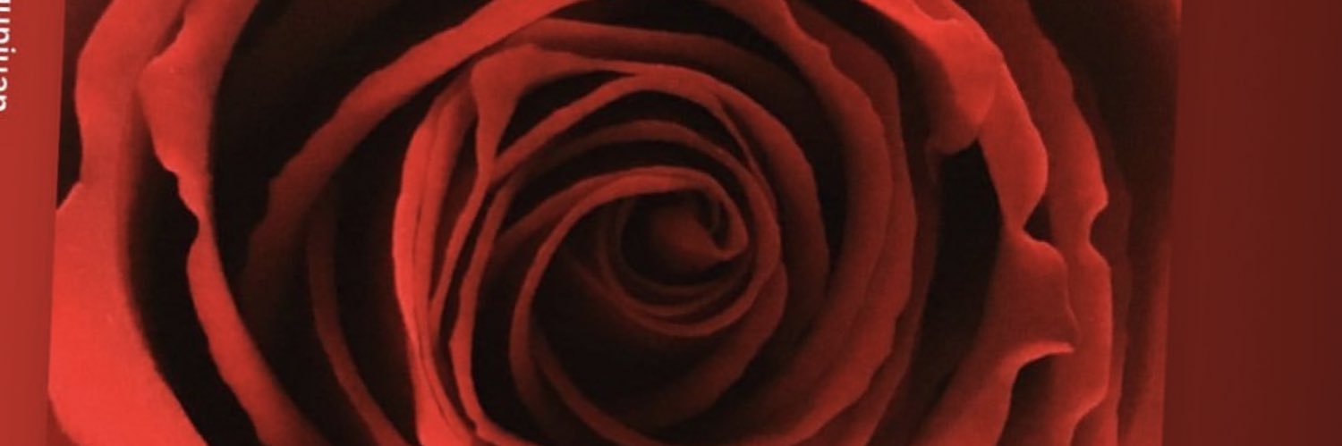 ffistee Pig 🐷 banner