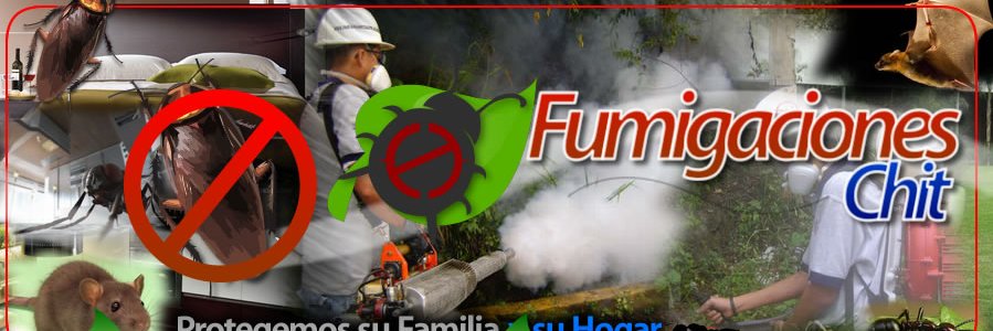 fumichit's profile banner image