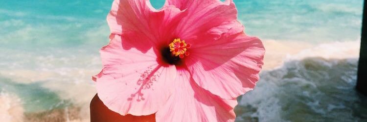 isigotelli's profile banner image