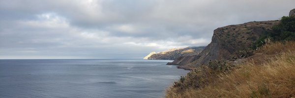 DeborahS_phd Profile Banner