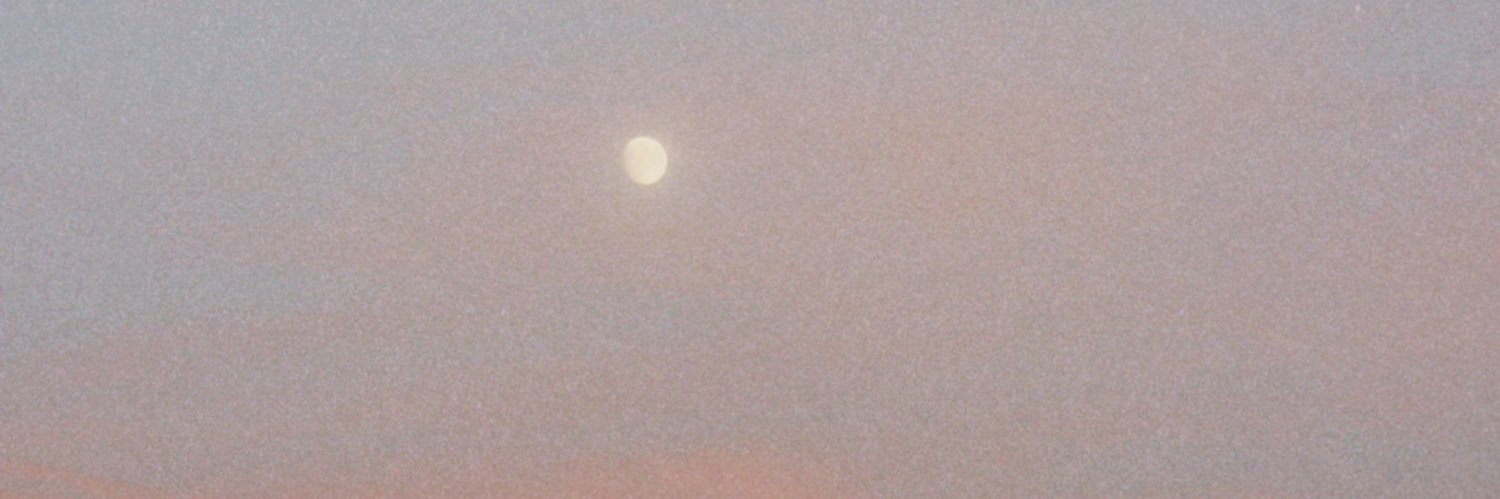 crazymoonfairy's profile banner image