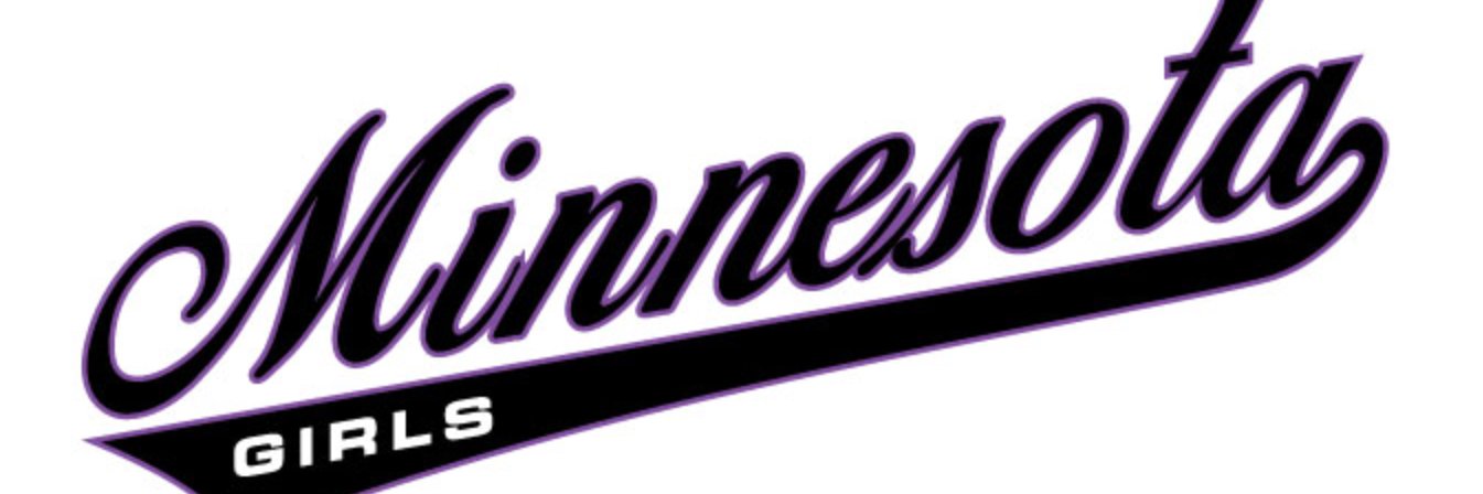 Team Minnesota banner