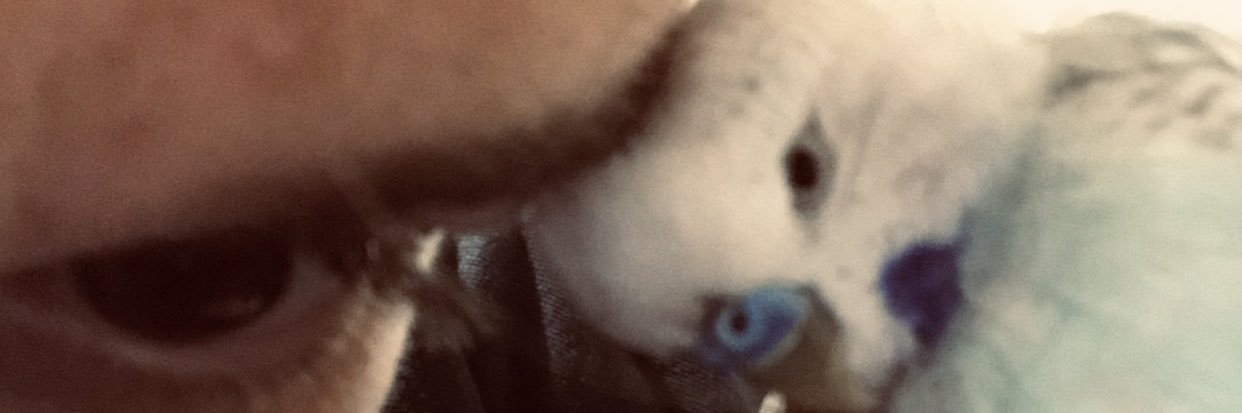 eliftay94's profile banner image