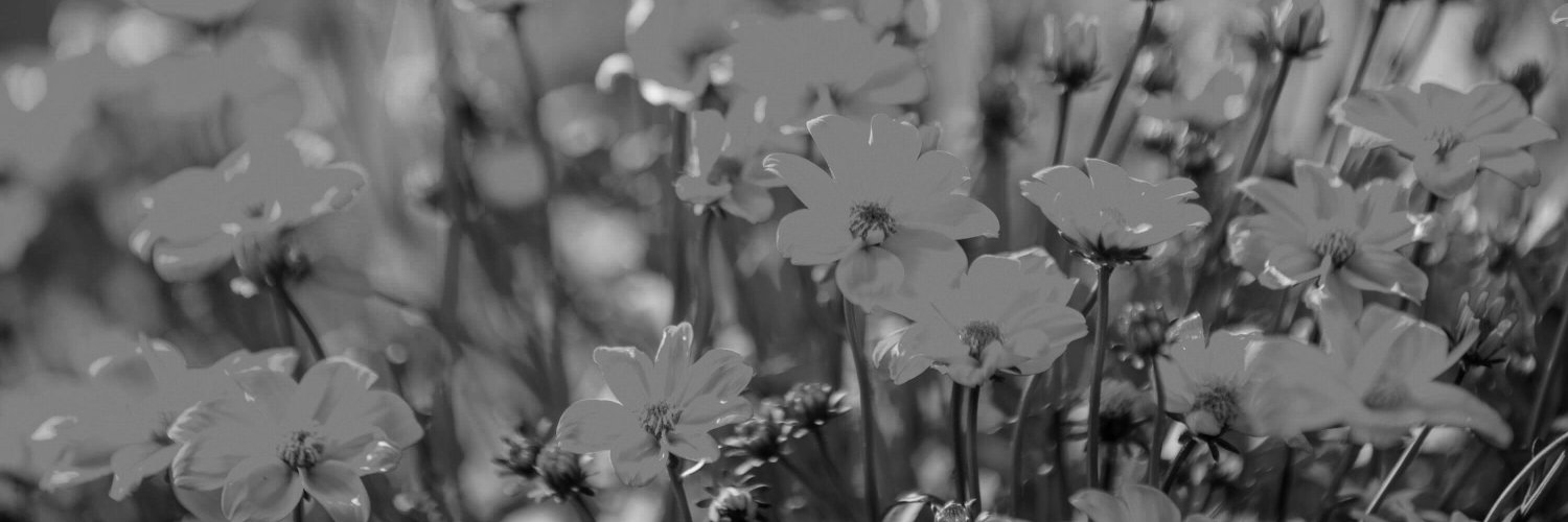 FLOWERYPAST's profile banner image