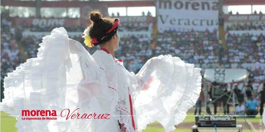Morena Veracruz banner