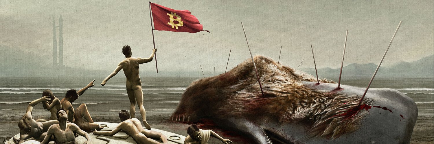 Wild Wild Web banner