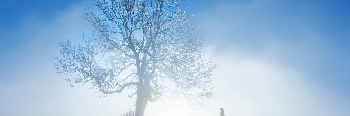 faridsabbagh_fi's profile banner image