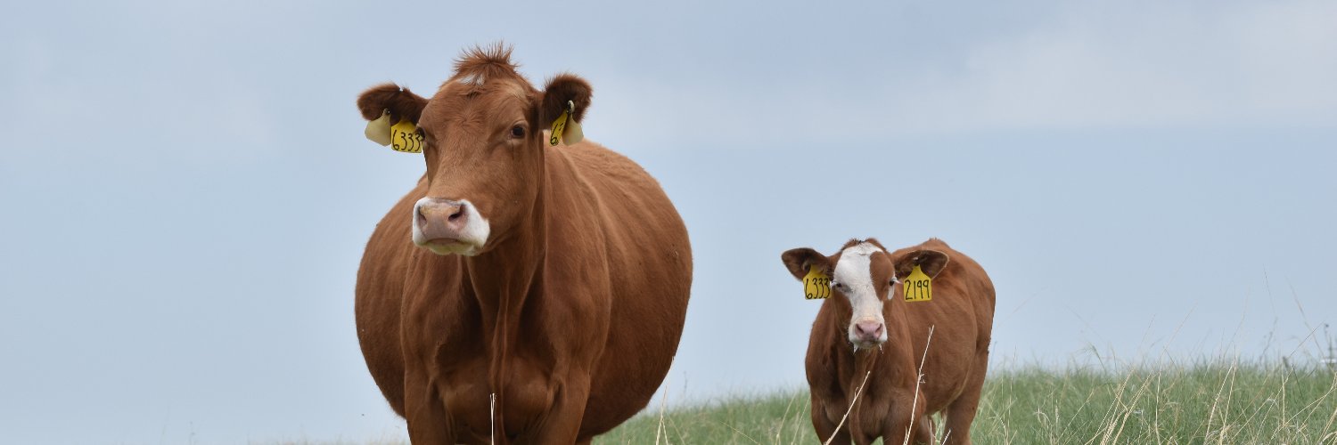 Central Sandhills Beef Educator's banner