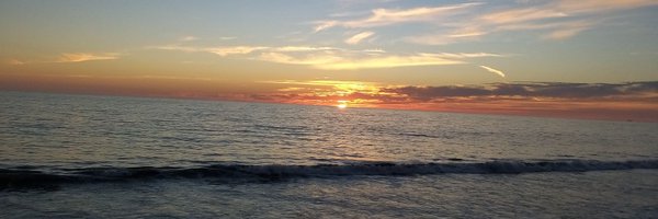 GuardadoMonos Profile Banner