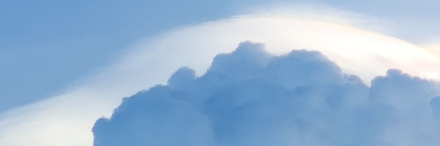 chofaungfa's profile banner image