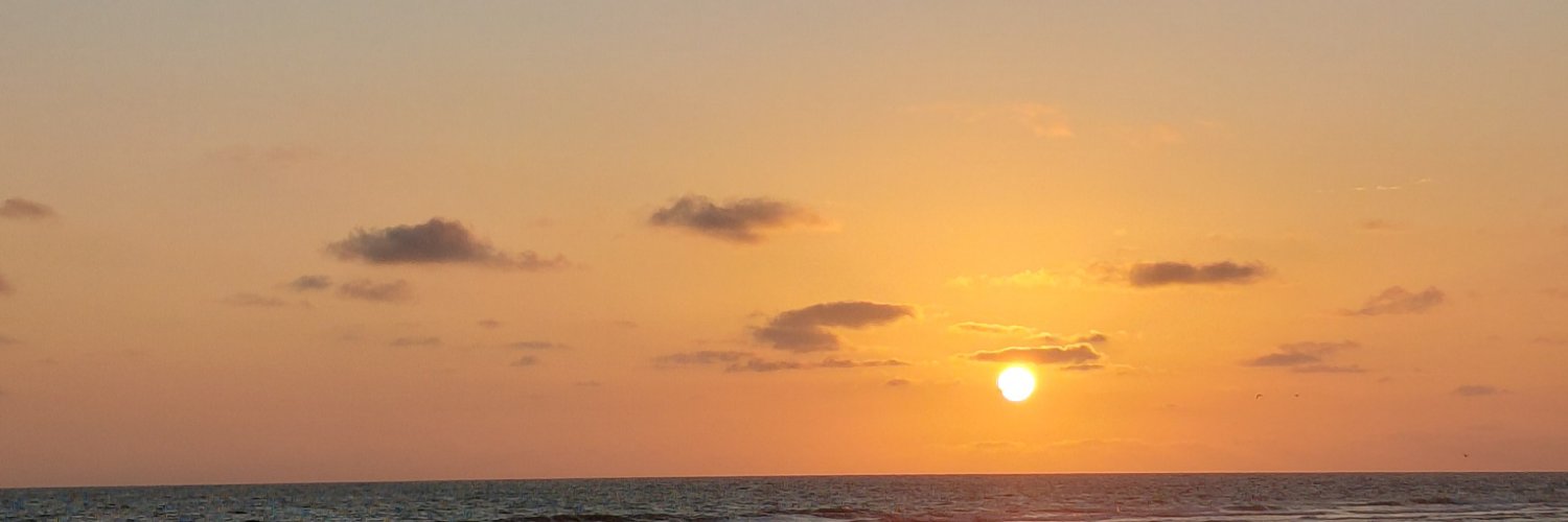 ReisShayanne's profile banner image