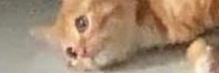 off_bamperan's profile banner image