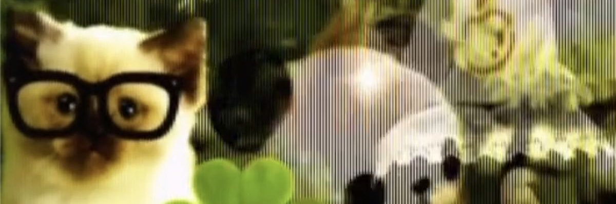 coconnuthead's profile banner image