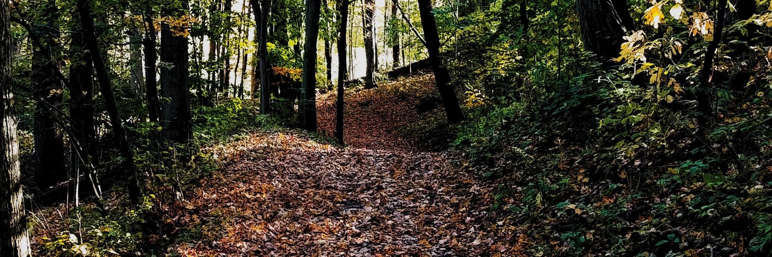 Daxy MaskUpYouFuckingChildren Lanktree banner