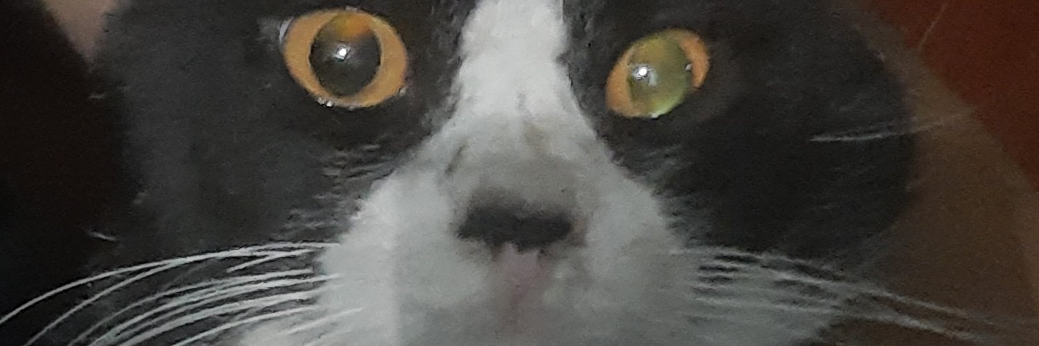 r_adam_p's profile banner image