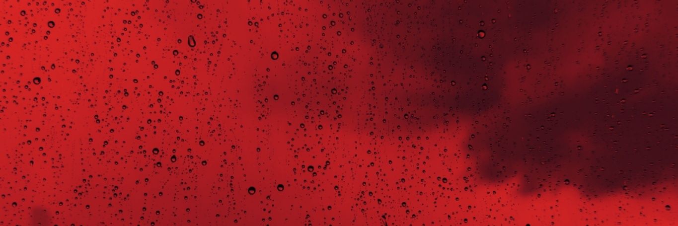 nevertiten's profile banner image