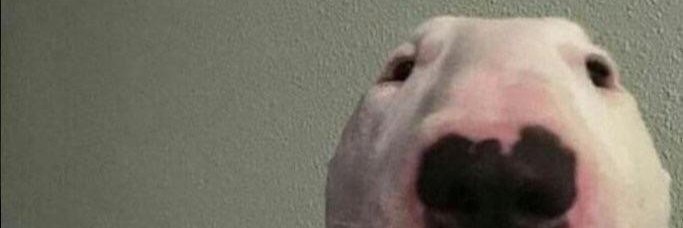 DiabolicalMeek's profile banner image
