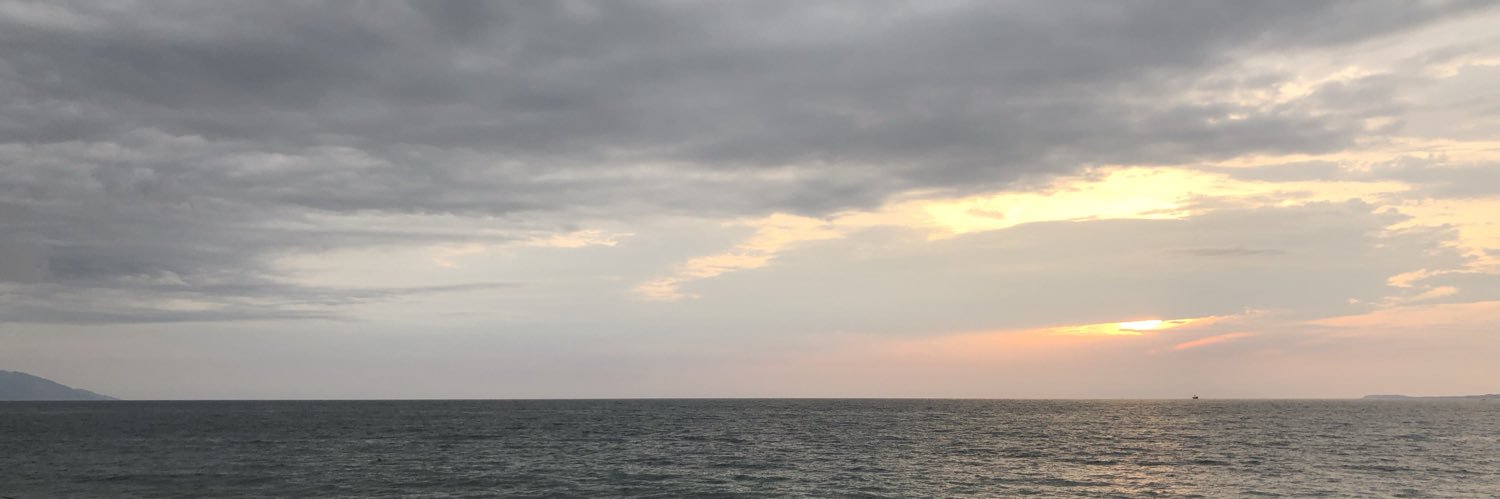 chequelink's profile banner image