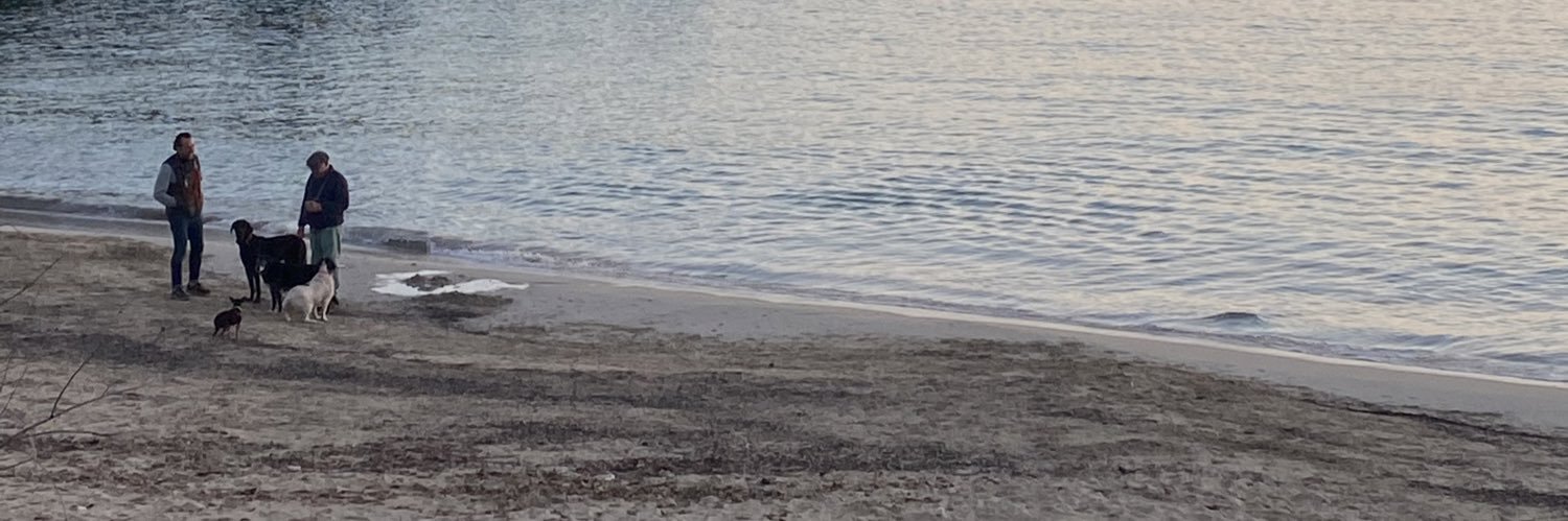 barbaracaldes's profile banner image