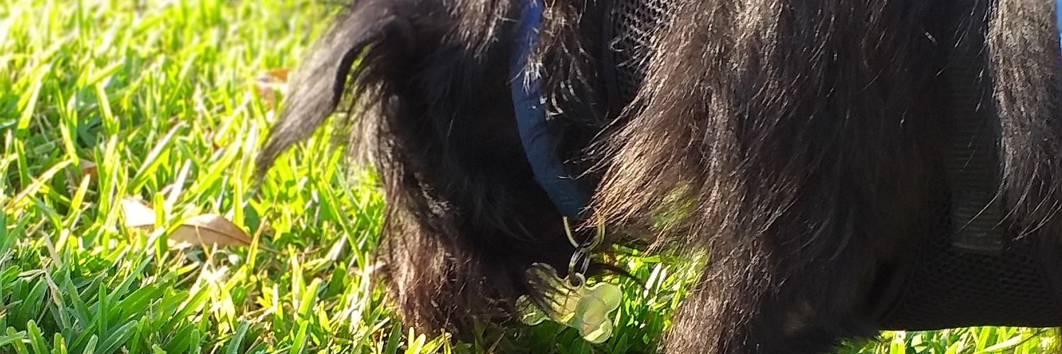 MissDannyZuLe's profile banner image