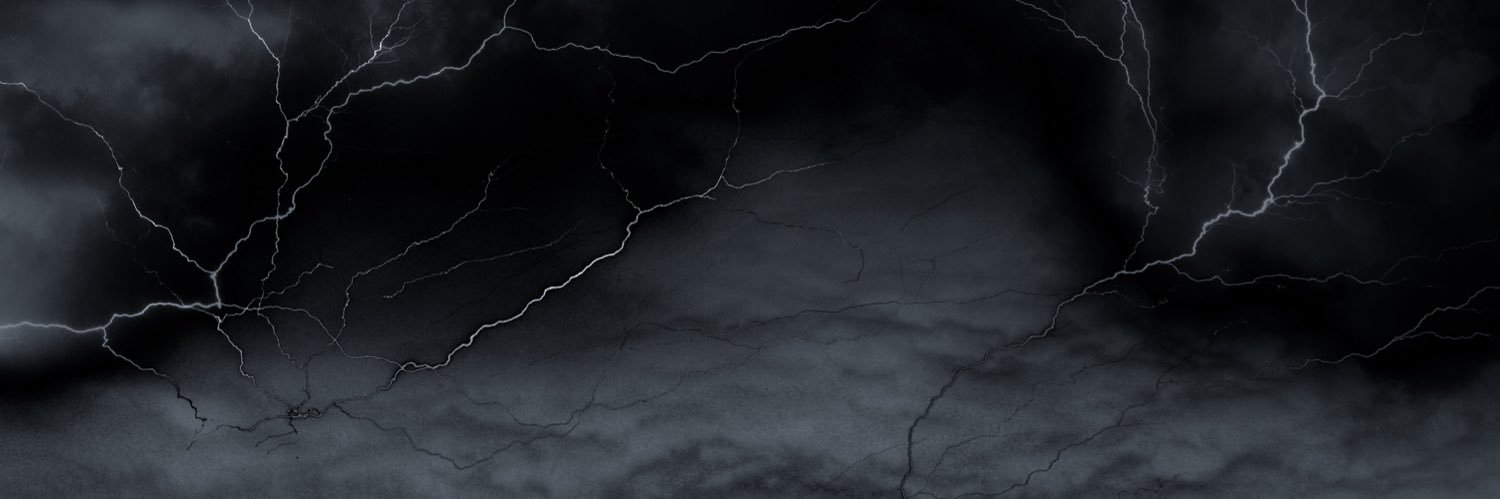 Noizinski's profile banner image