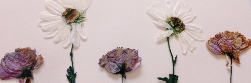 jade_mcwhorter's profile banner image