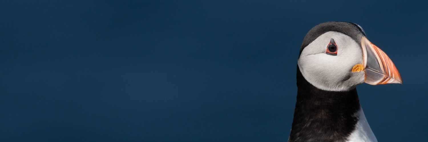 dodds_rm's profile banner image