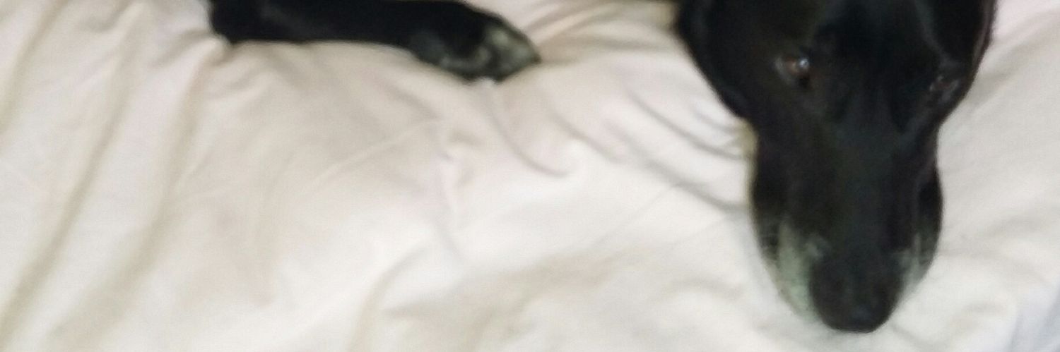 troels jensen banner