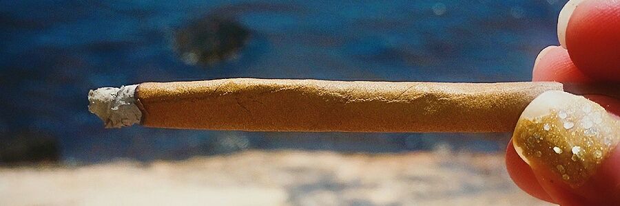 brittanykrone's profile banner image