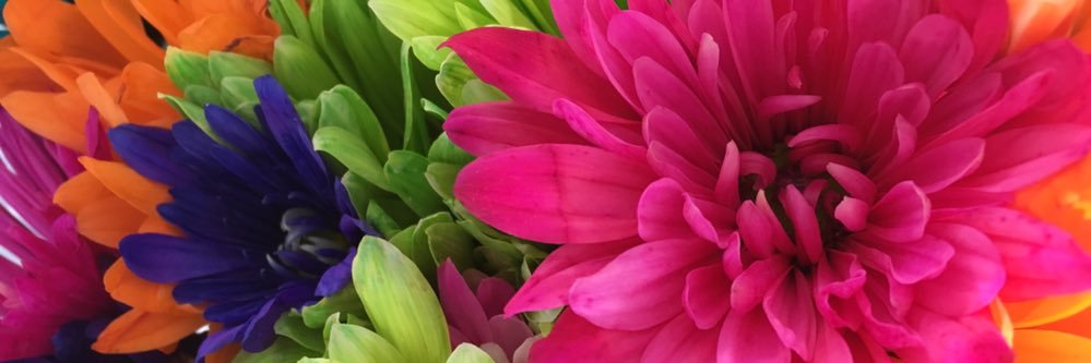 Johana_JS's profile banner image
