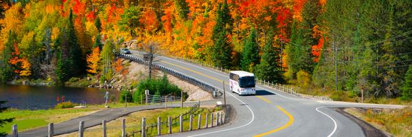 Parkbus Profile Banner