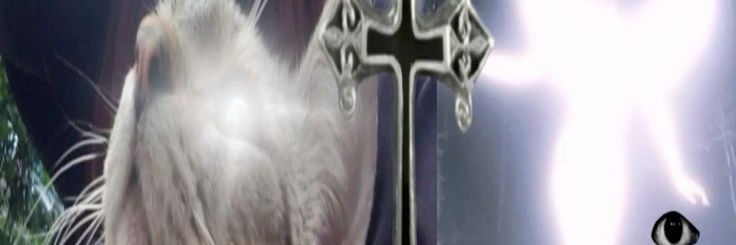 ᶻ 𝗓 𐰁 banner