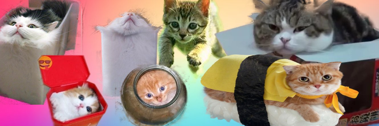 Ms. Harvey (she/her) banner