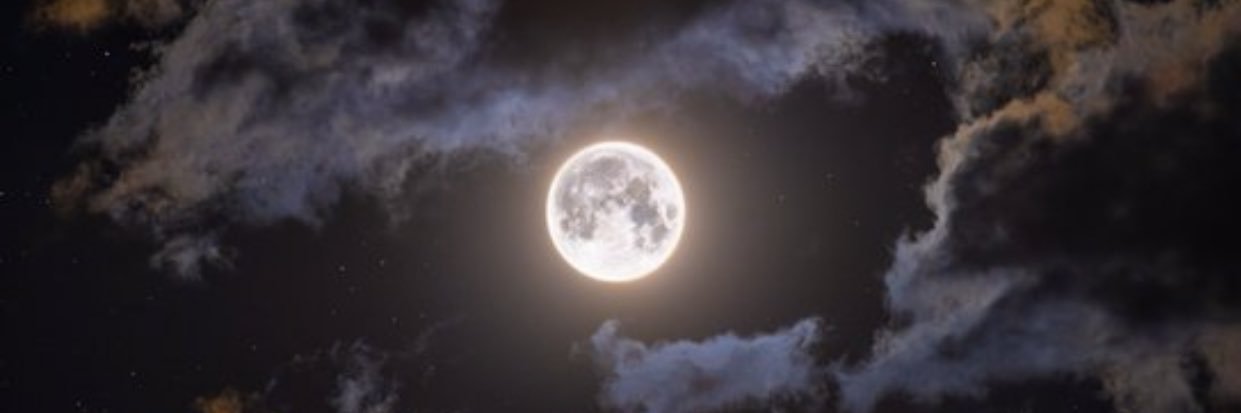 miar_waheed's profile banner image