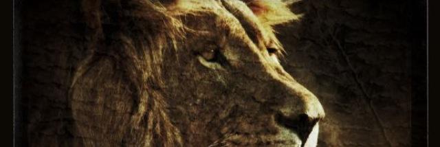 Delsodabeast's profile banner image