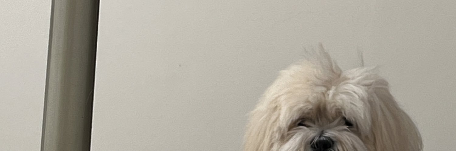 sofia_flowerss's profile banner image
