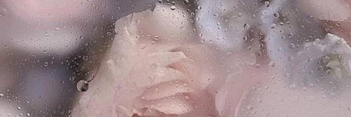 meppok5260's profile banner image