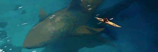 Sifundile Lofts48 banner