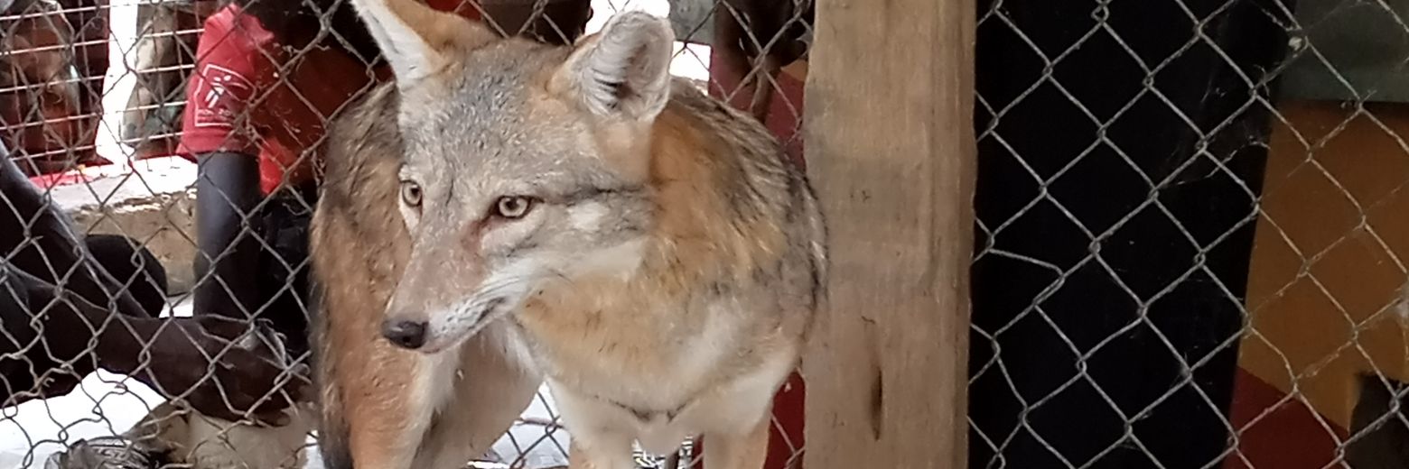 Lordrobby1's profile banner image
