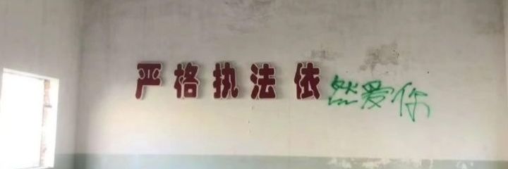沉默山楂树 banner