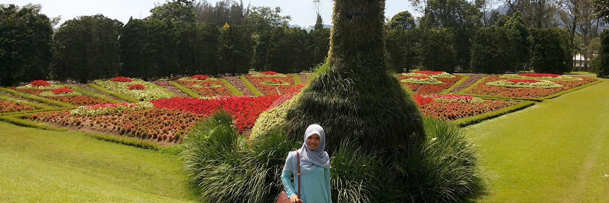 Mey_setyo's profile banner image