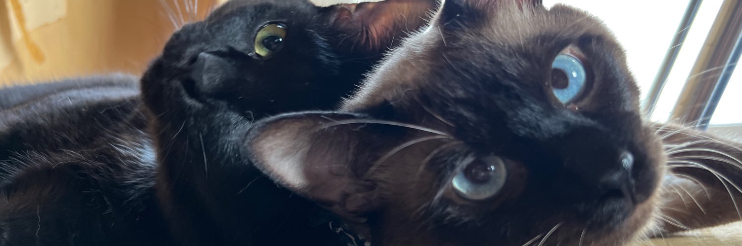 pompompom32's profile banner image