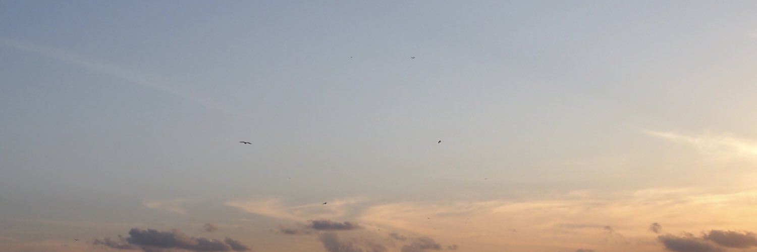 petit_siesta's profile banner image